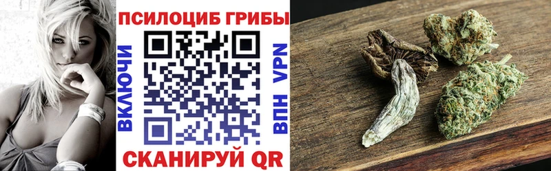 Псилоцибиновые грибы Magic Shrooms  Купить закладки  Краснозаводск 